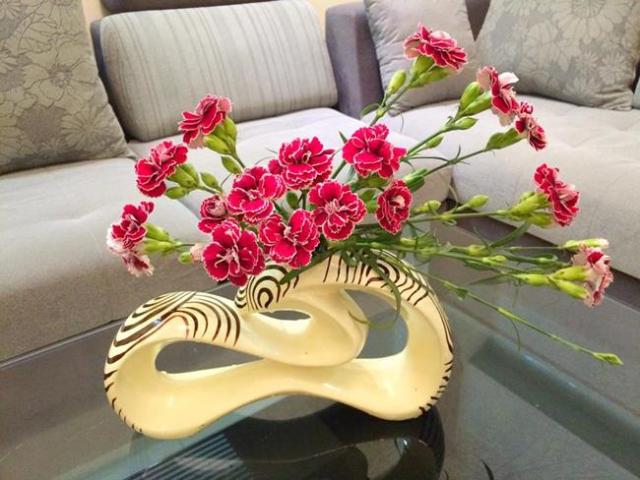Hoa cẩm chướng là loài hoa rất bền. Mỗi bông thường có nụ xanh đi kèm tạo nên không gian “đa màu sắc”.