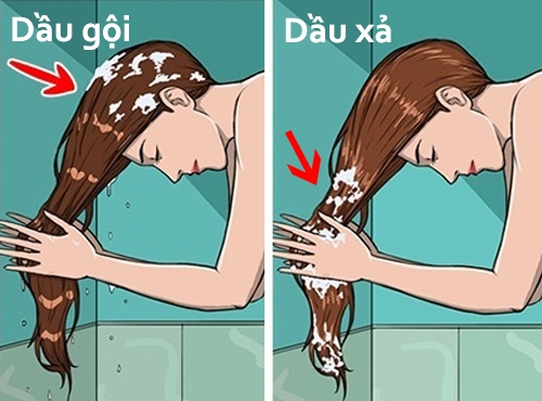 Nhớ thoa dầu gội lên chân tóc và dầu xả lên đuôi tóc bạn nhé.
