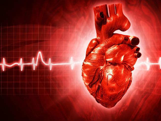 Mỡ máu cao sẽ gây ra các bệnh về tim mạch, dẫn đến tử vong