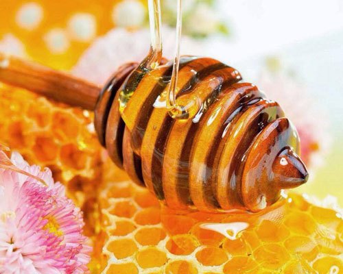 Mật ong có tác dụng tăng đề kháng cho cơ thể, phòng nhiễm trùng
