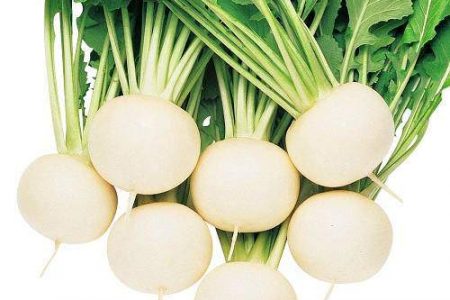 Khỏe từ đầu tới chân nhờ loại củ được ví như “nhân sâm trắng” chữa bách bệnh