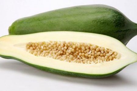 Khi mắc những bệnh này bạn chỉ cần ăn đu đủ xanh là khỏi mà không cần tốn tiền đi bác sĩ làm gì