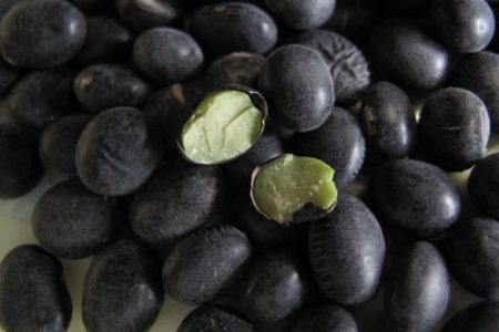 Tin vui vô cùng cho bệnh nhân bệnh tiểu đường: Bài thuốc quý khiến bệnh tiểu đường một đi không trở lại, cả đời không tái phát lại