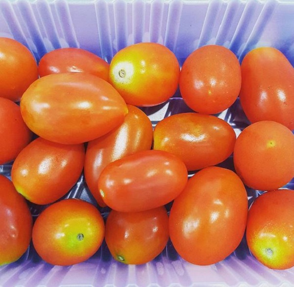 Trong một mẫu cà chua bi có thể phát hiện ra có tới 13 loại thuốc trừ sâu khác nhau.
