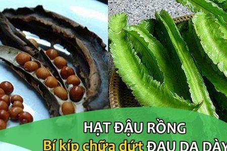 Chia sẻ sự thật: 200 triệu không khỏi đau dạ dày nhưng chỉ dùng thứ này 2 tuần thì đã khác